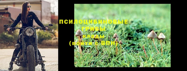 стафф Переславль-Залесский