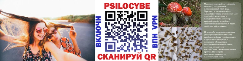 Галлюциногенные грибы MAGIC MUSHROOMS  цены   Уварово 